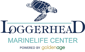 Loggerhead Marinelife Center